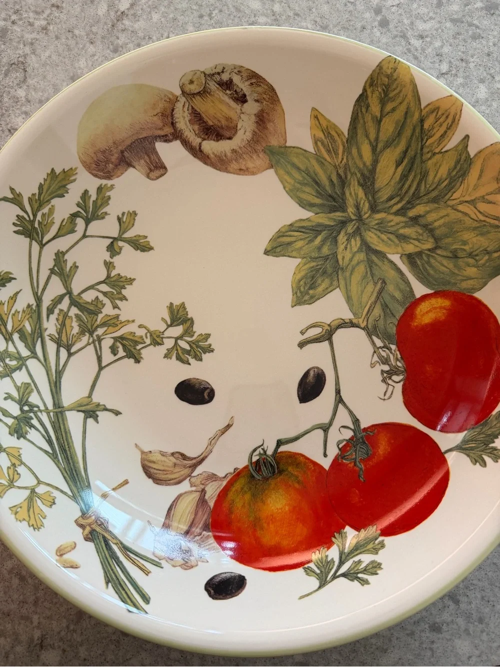 Williams Sonoma Tomato & Herb Ceramic pasta serving bowl Red and Green